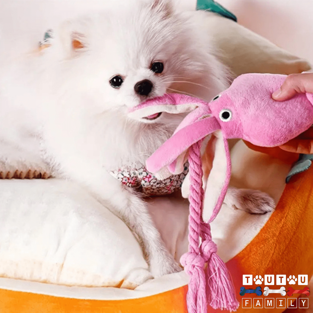 Peluche pour chien - CalamarToutou™
