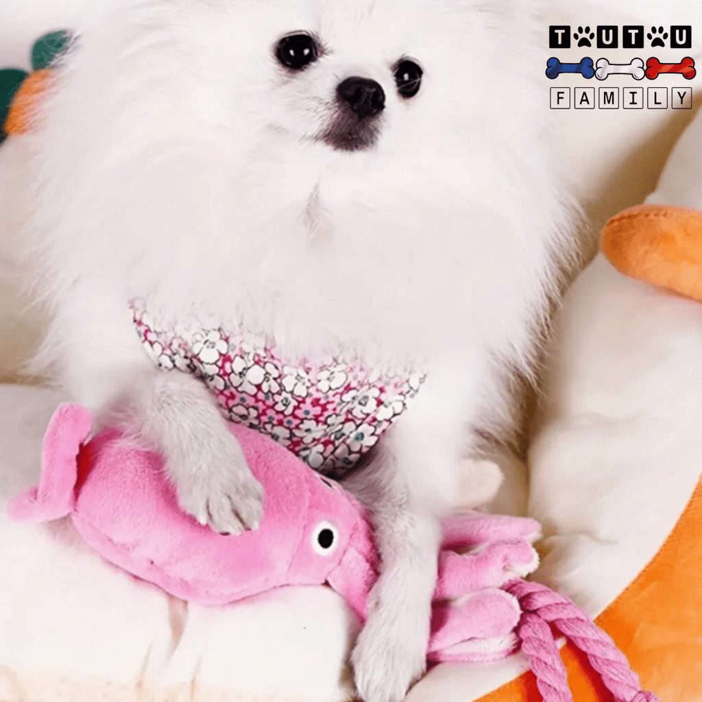 Peluche pour chien - CalamarToutou™