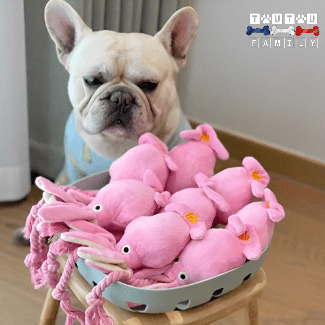 Peluche pour chien - CalamarToutou™