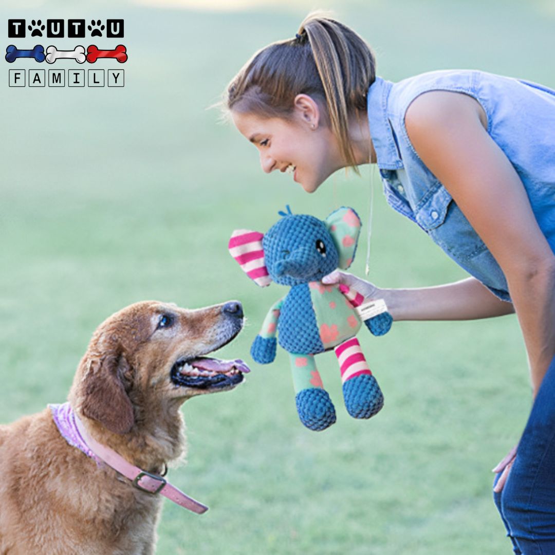 Peluche pour chien chiot - DestressToutou™
