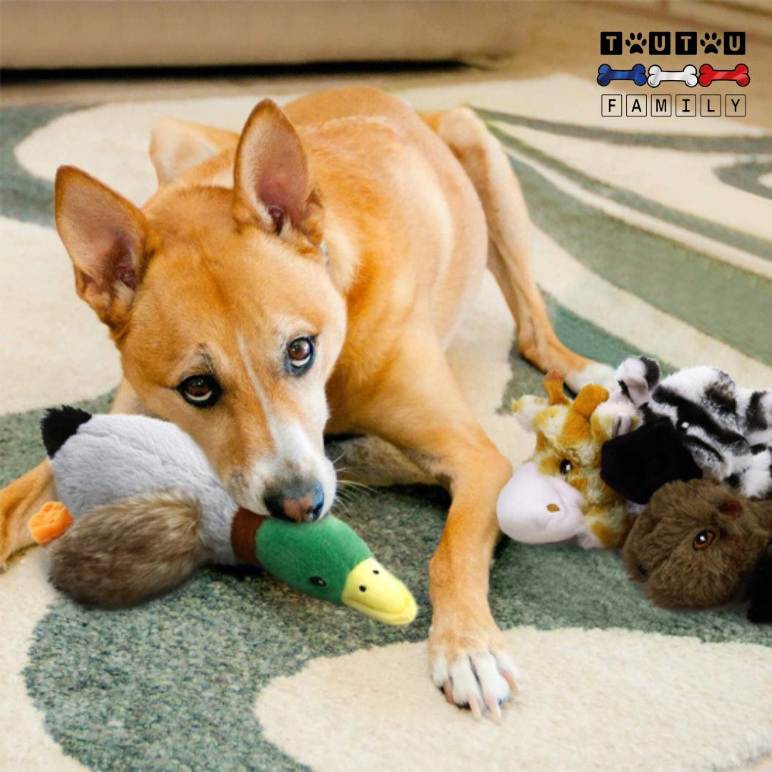 Peluche pour chien - CoinToutou™
