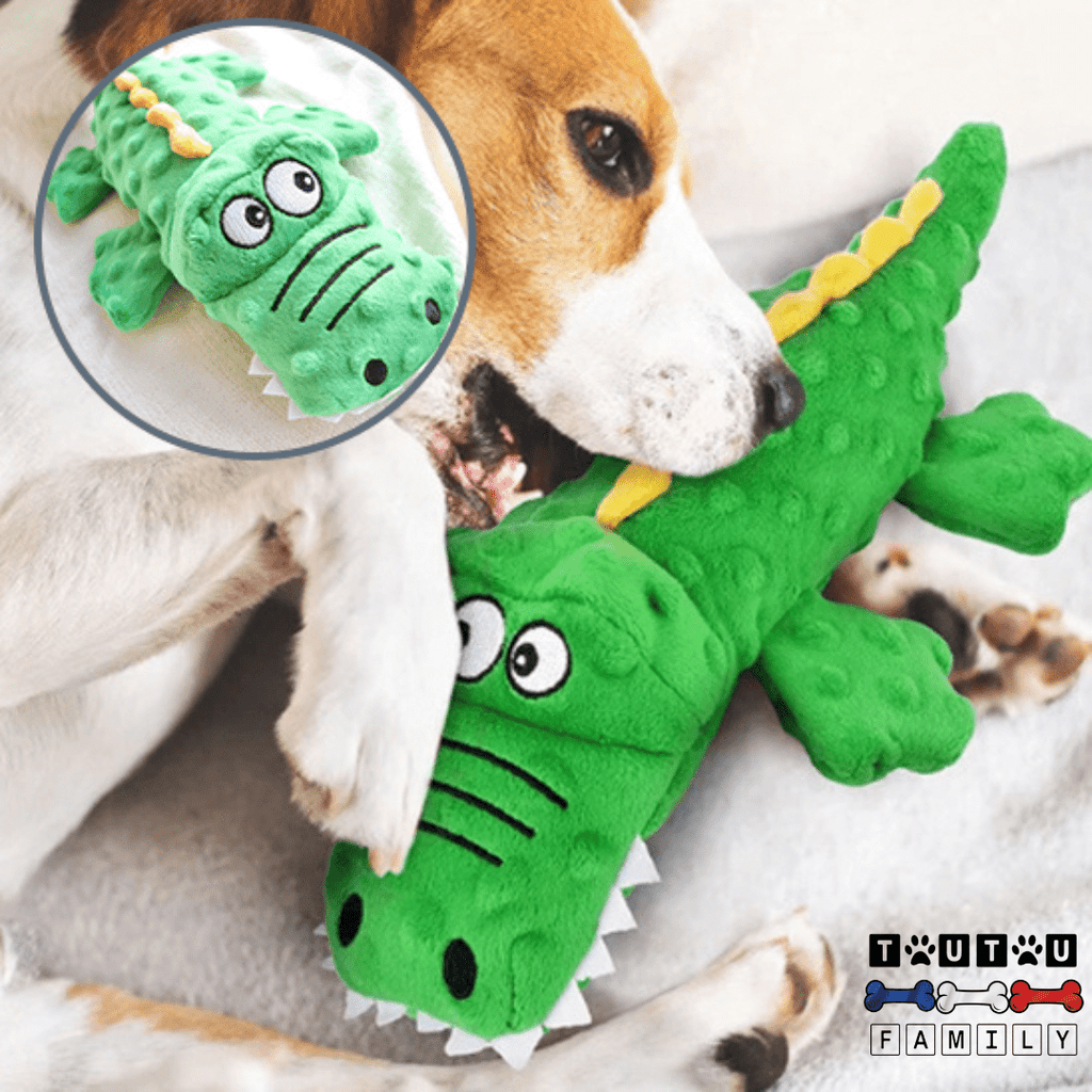 Peluche pour chien - CrocodileToutou™
