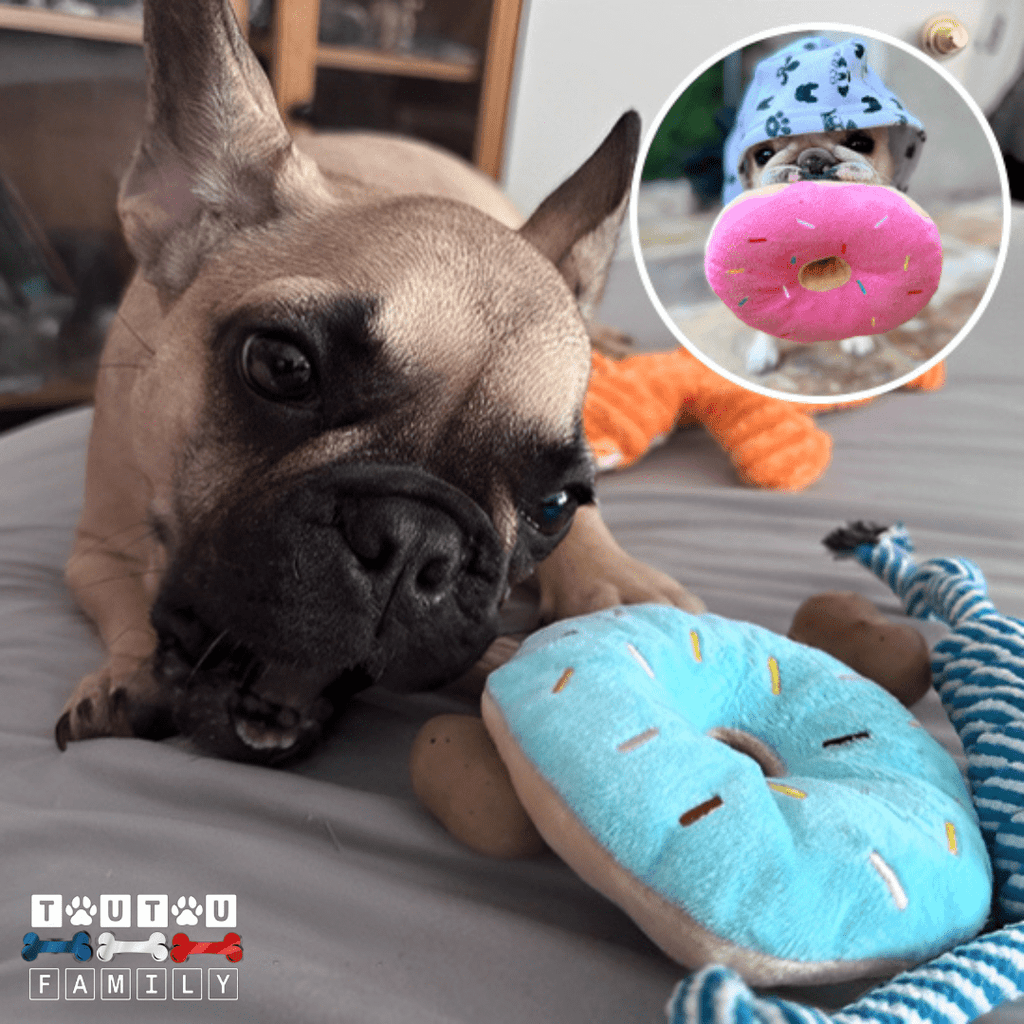 Peluche pour chien - DonutToutou™