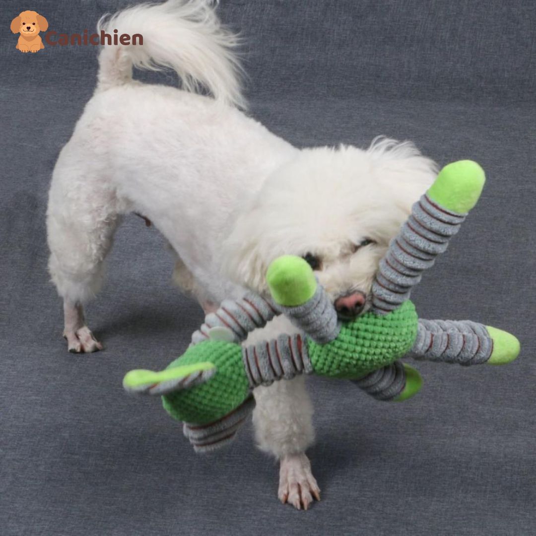 La peluche pour chien | Pawsitive™