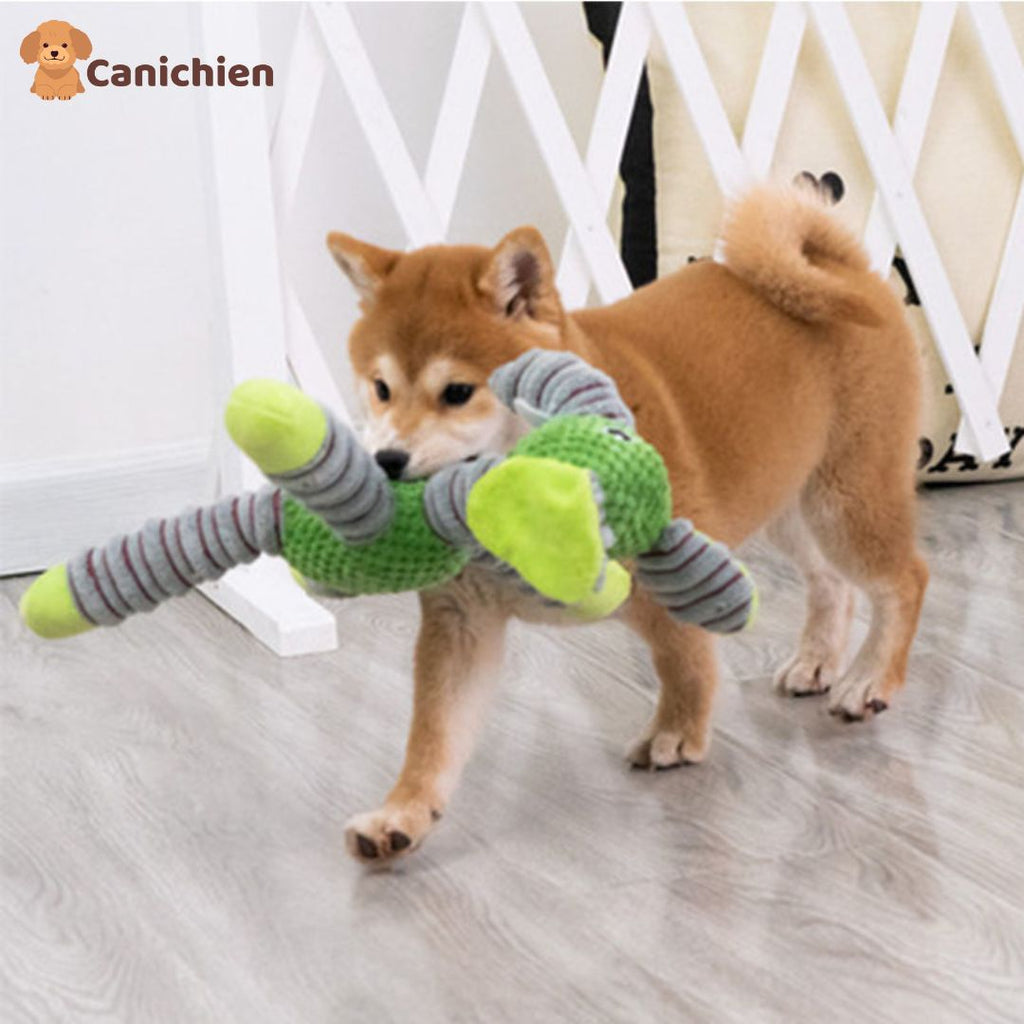 La peluche pour chien | Pawsitive™