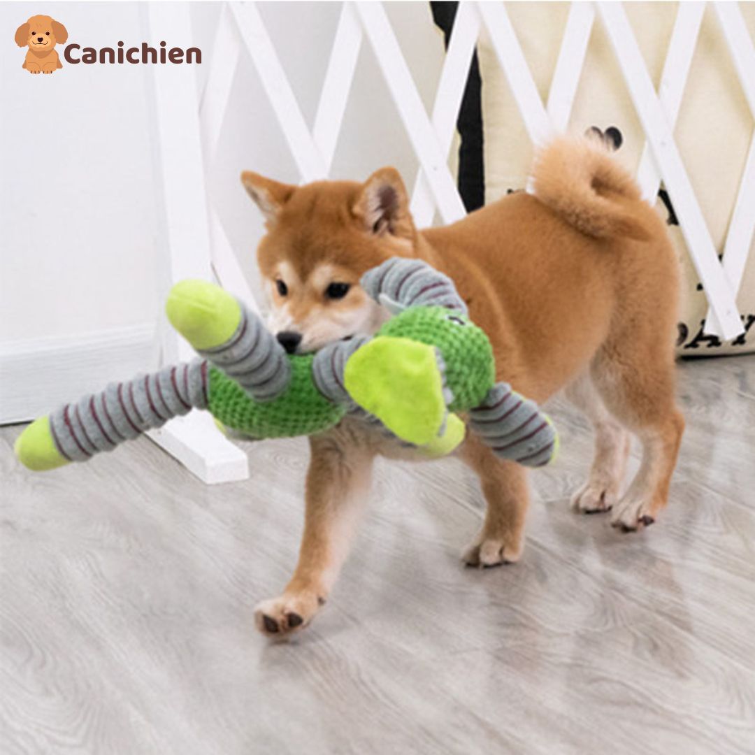 La peluche pour chien | Pawsitive™
