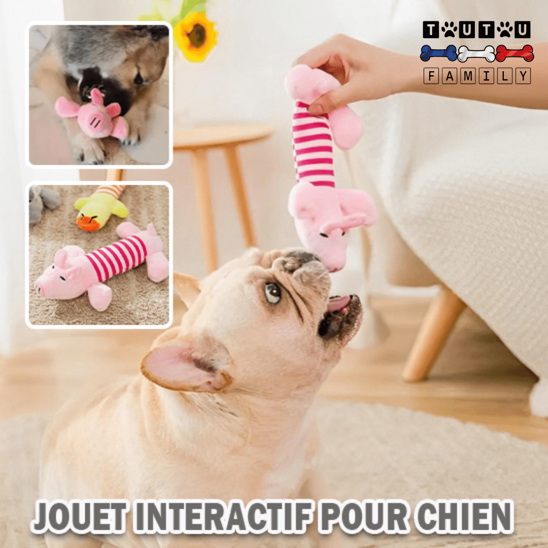 Peluche pour chien et chiot - DentitionToutou™