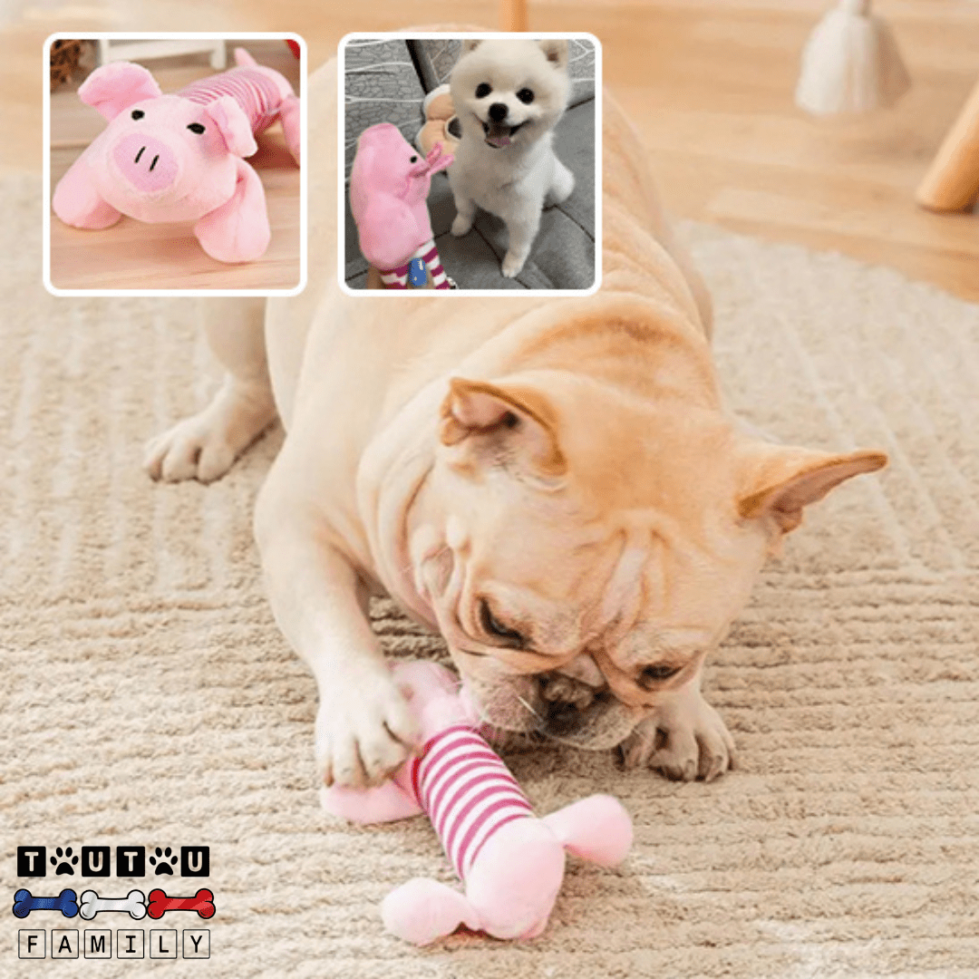 Peluche pour chien et chiot - DentitionToutou™