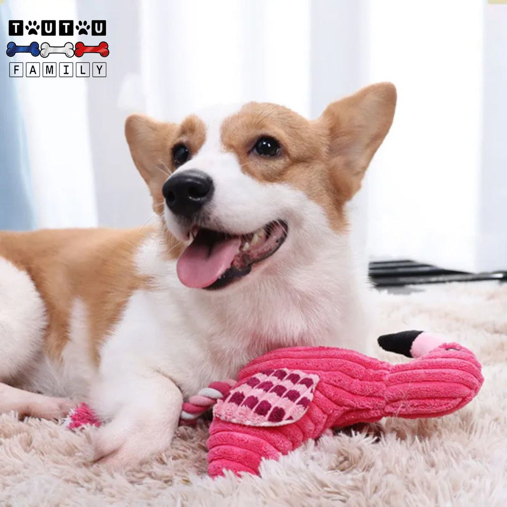 Peluche pour chien - FlamanToutou™