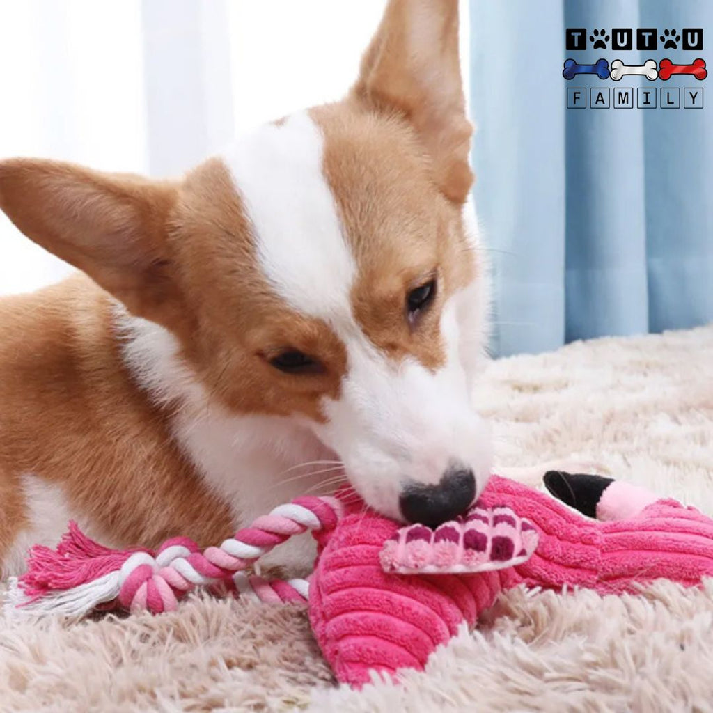 Peluche pour chien - FlamanToutou™