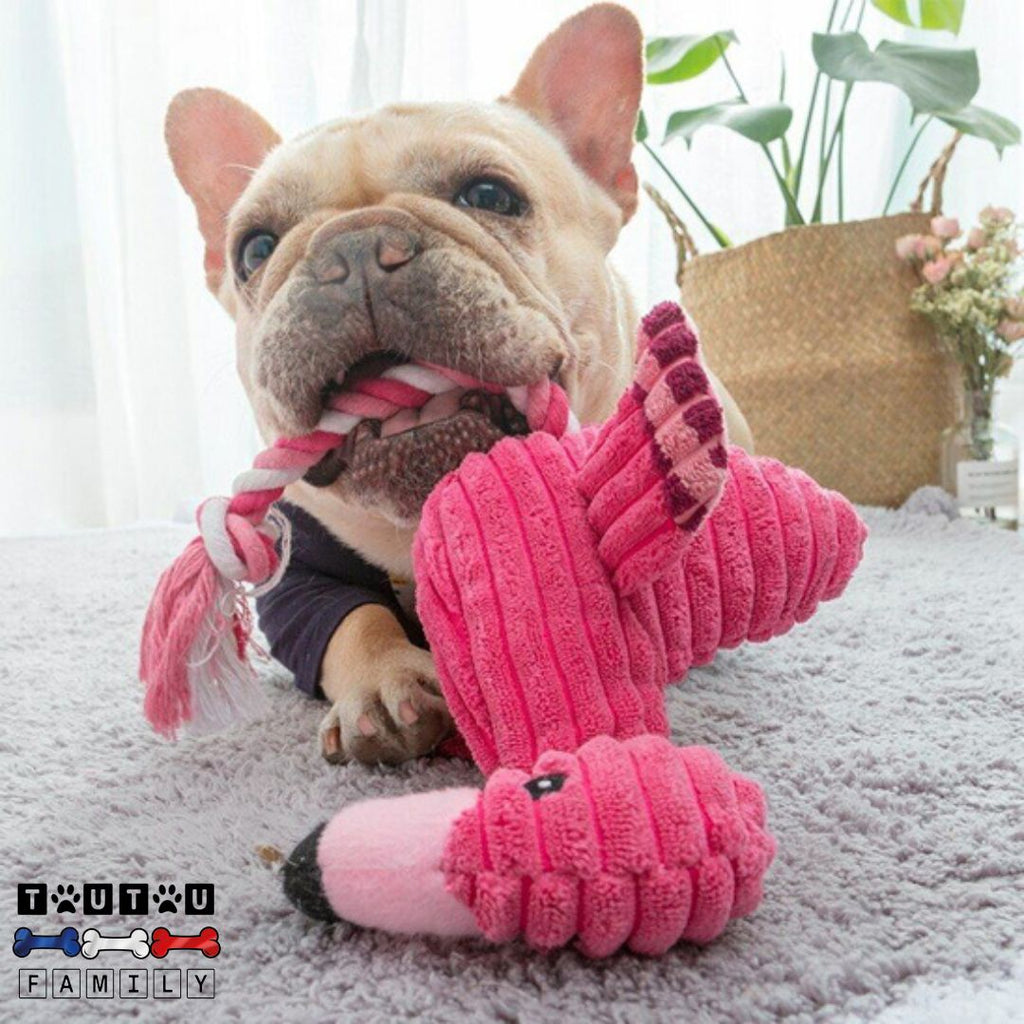 Peluche pour chien - FlamanToutou™