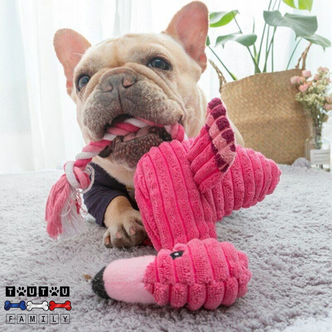 Peluche pour chien - FlamanToutou™