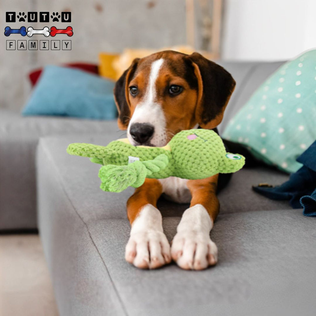 Peluche pour chien - InteractiveToutou™