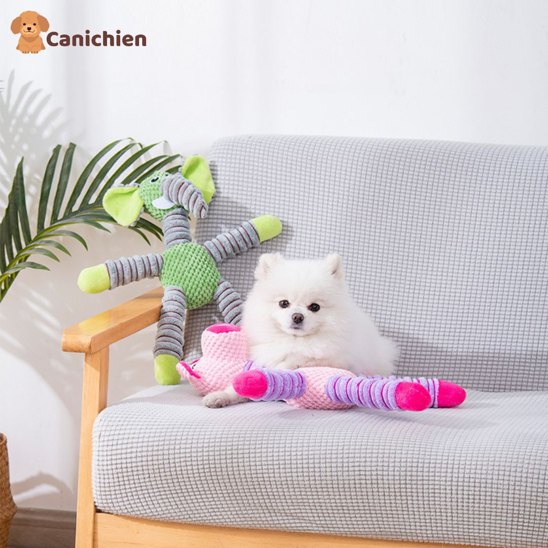 La peluche pour chien | Pawsitive™