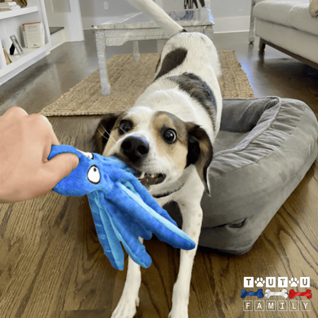 Peluche pour chien - OctopusToutou™