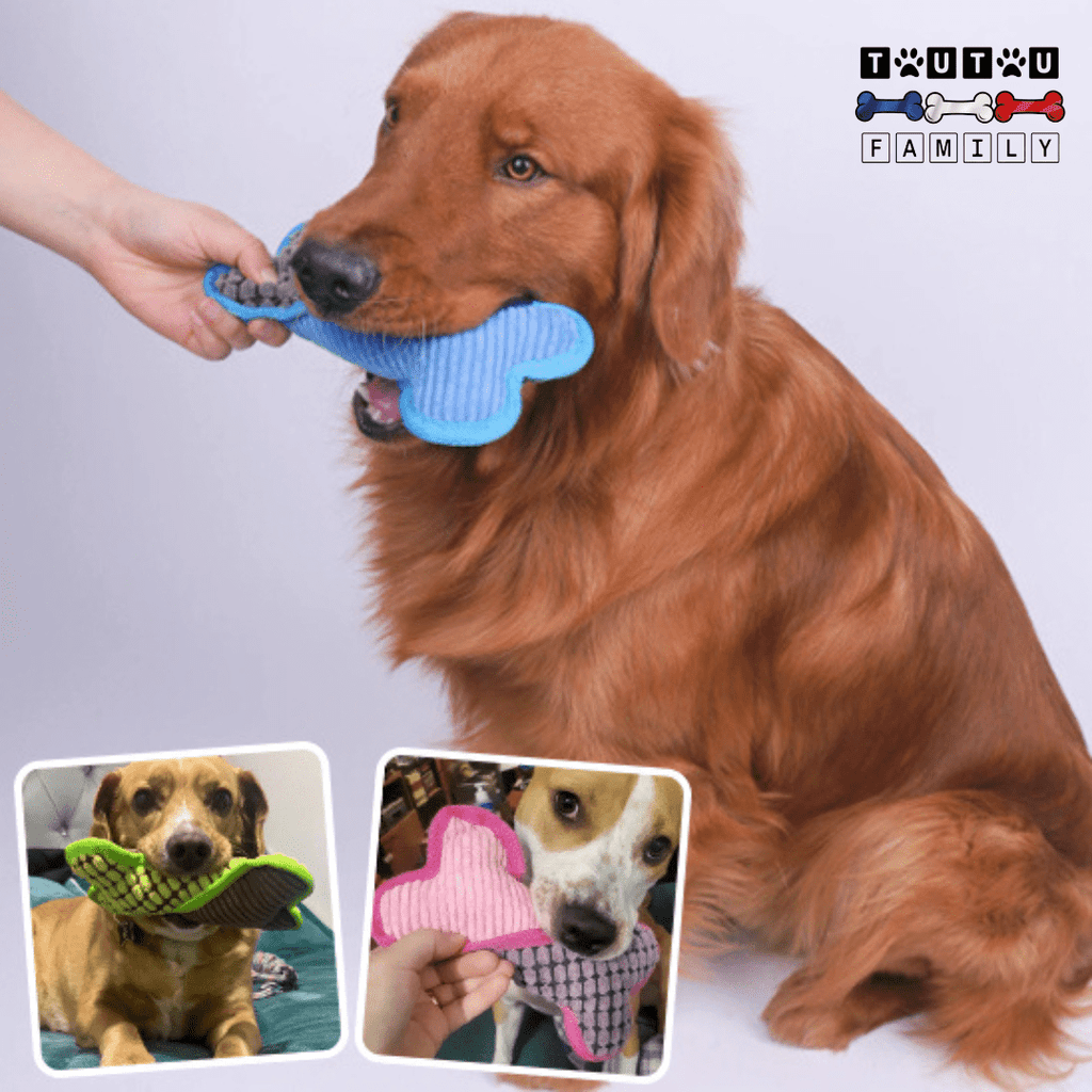 Peluche pour chien - OsToutou™