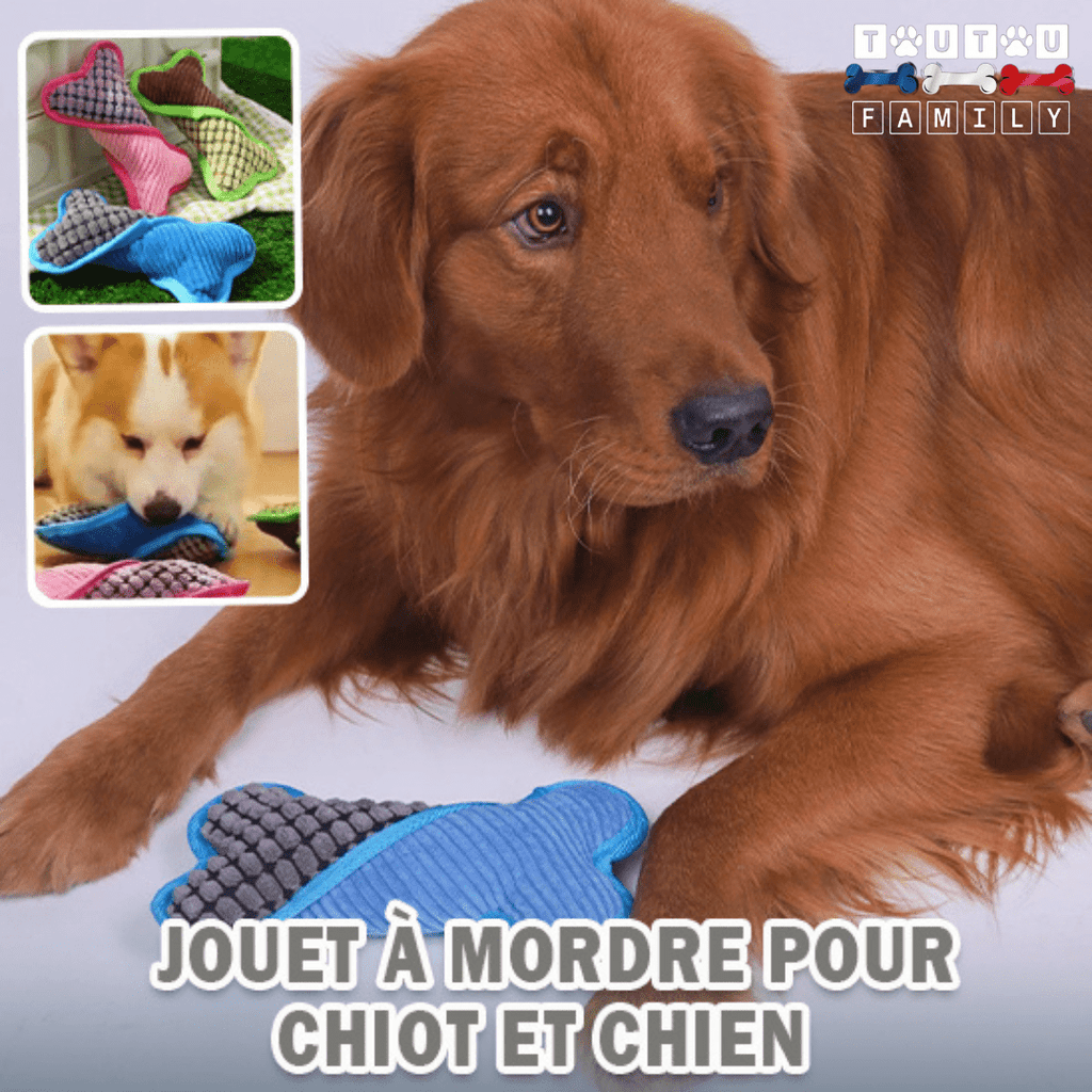 Peluche pour chien - OsToutou™