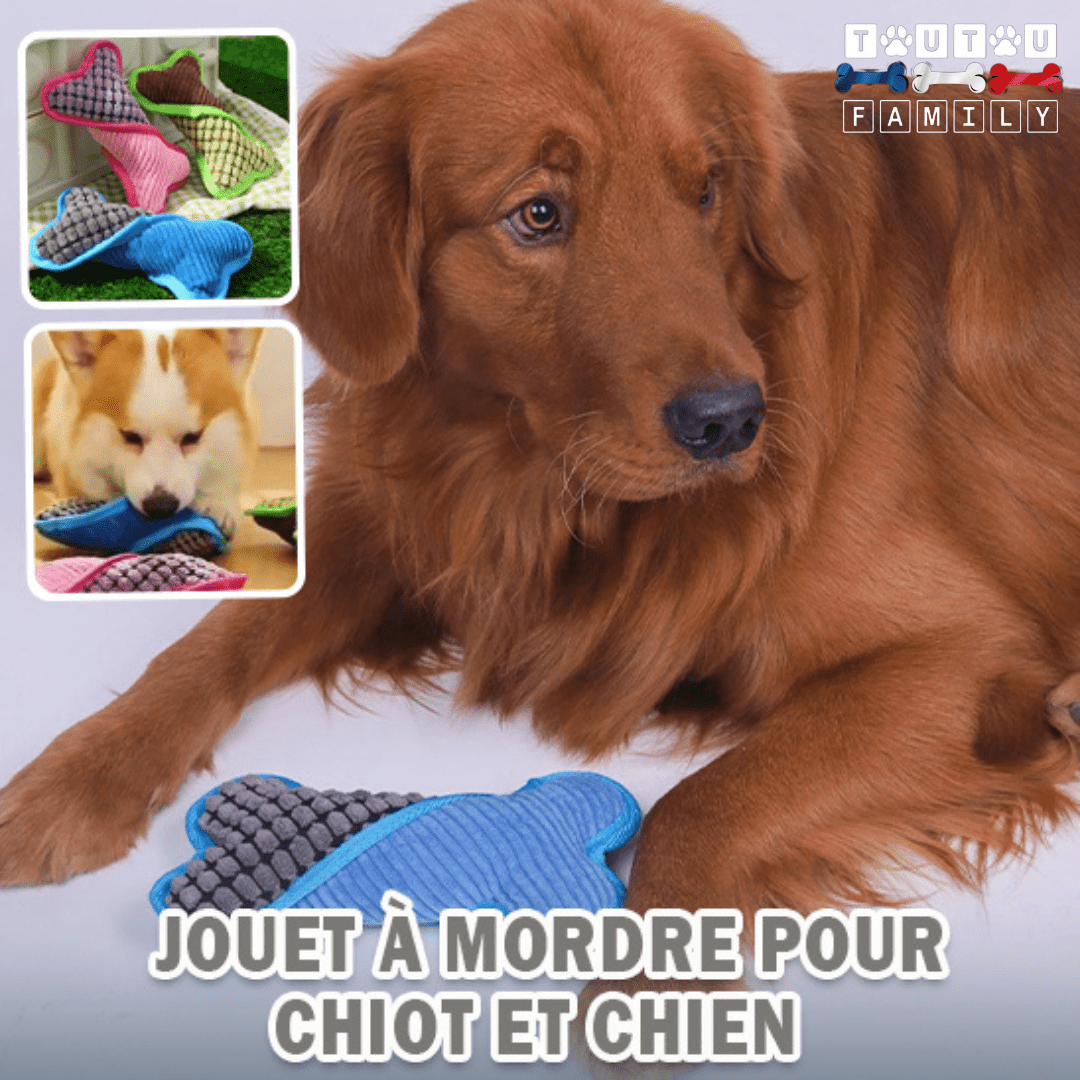 Peluche pour chien - OsToutou™
