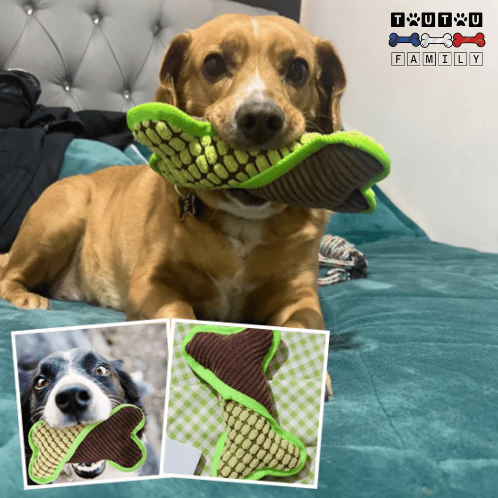 Peluche pour chien - OsToutou™