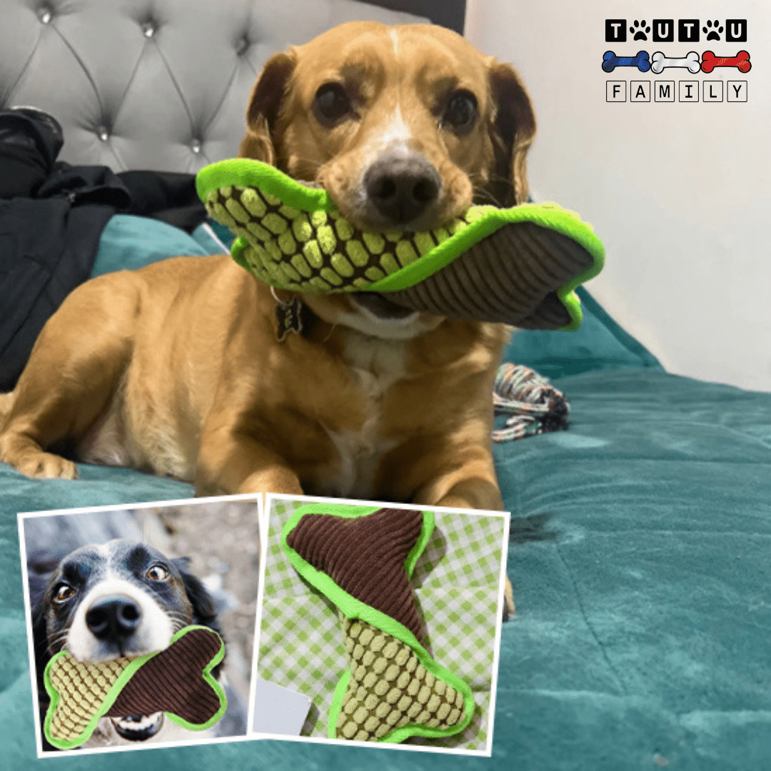 Peluche pour chien - OsToutou™