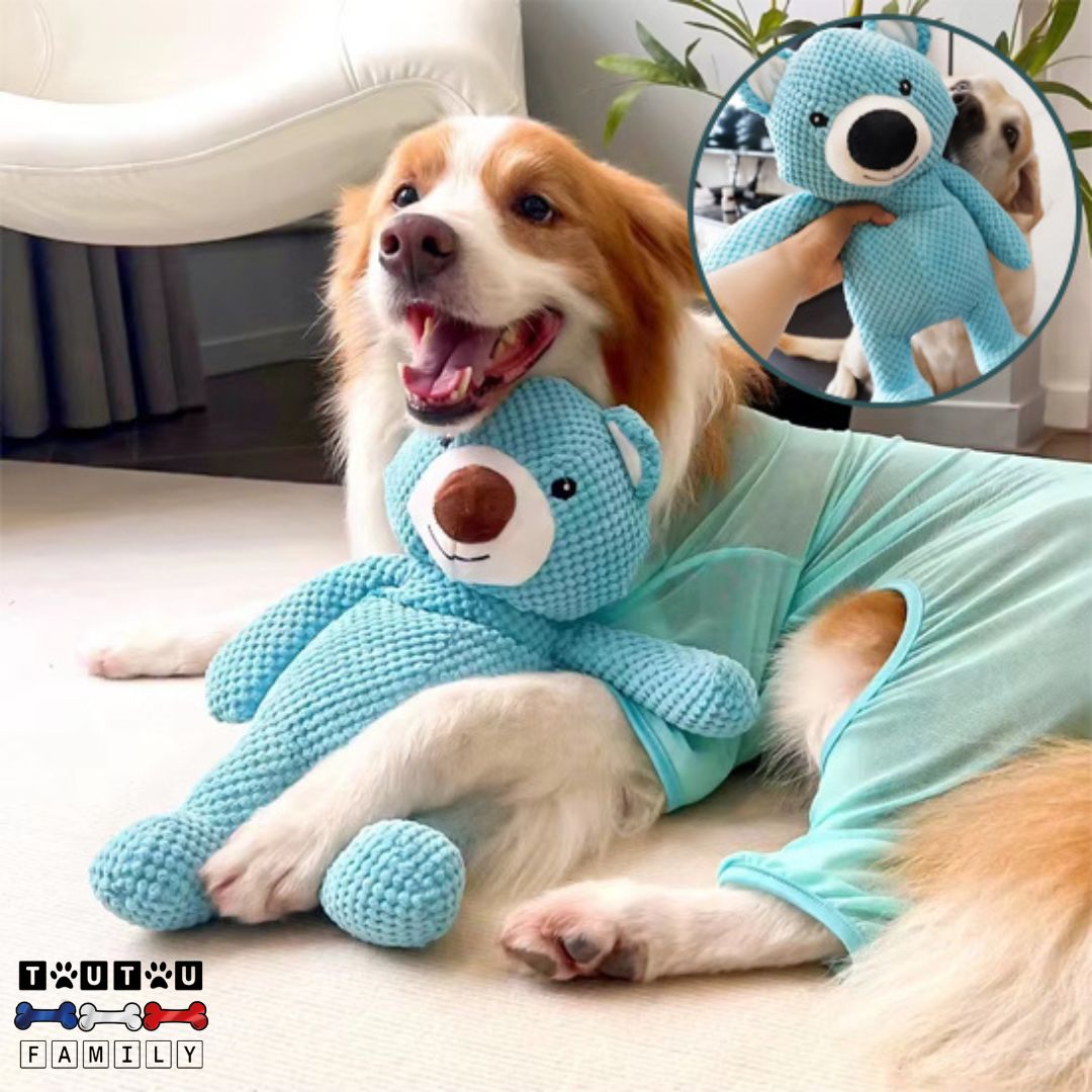 Peluche pour chien - OursToutou™
