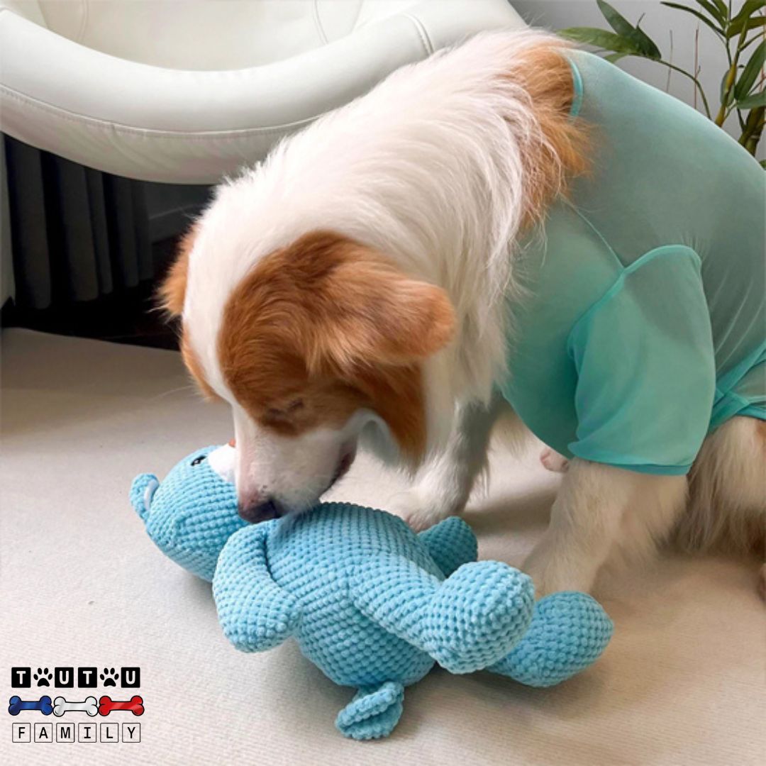 Peluche pour chien - OursToutou™