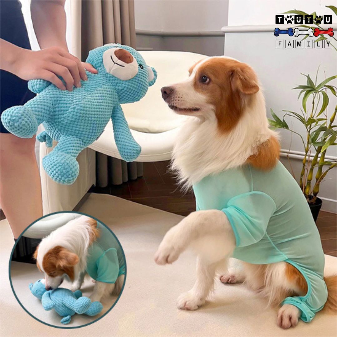 Peluche pour chien - OursToutou™