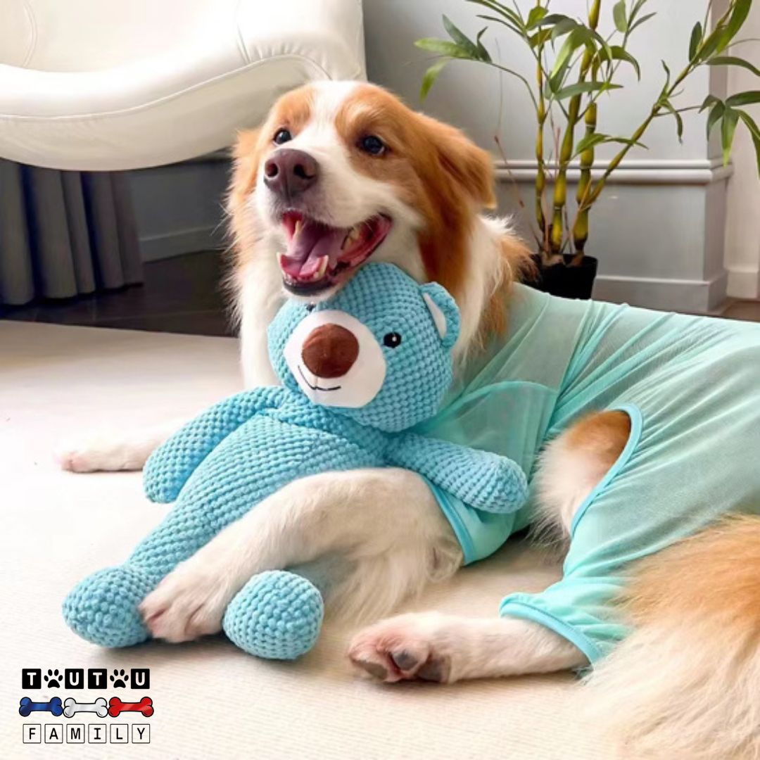 Peluche pour chien - OursToutou™