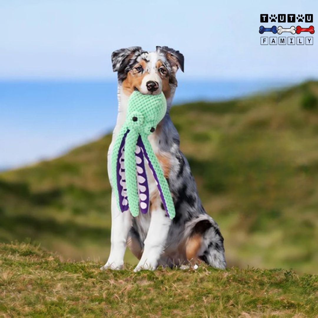 Peluche pour chien - PoulpeToutou™