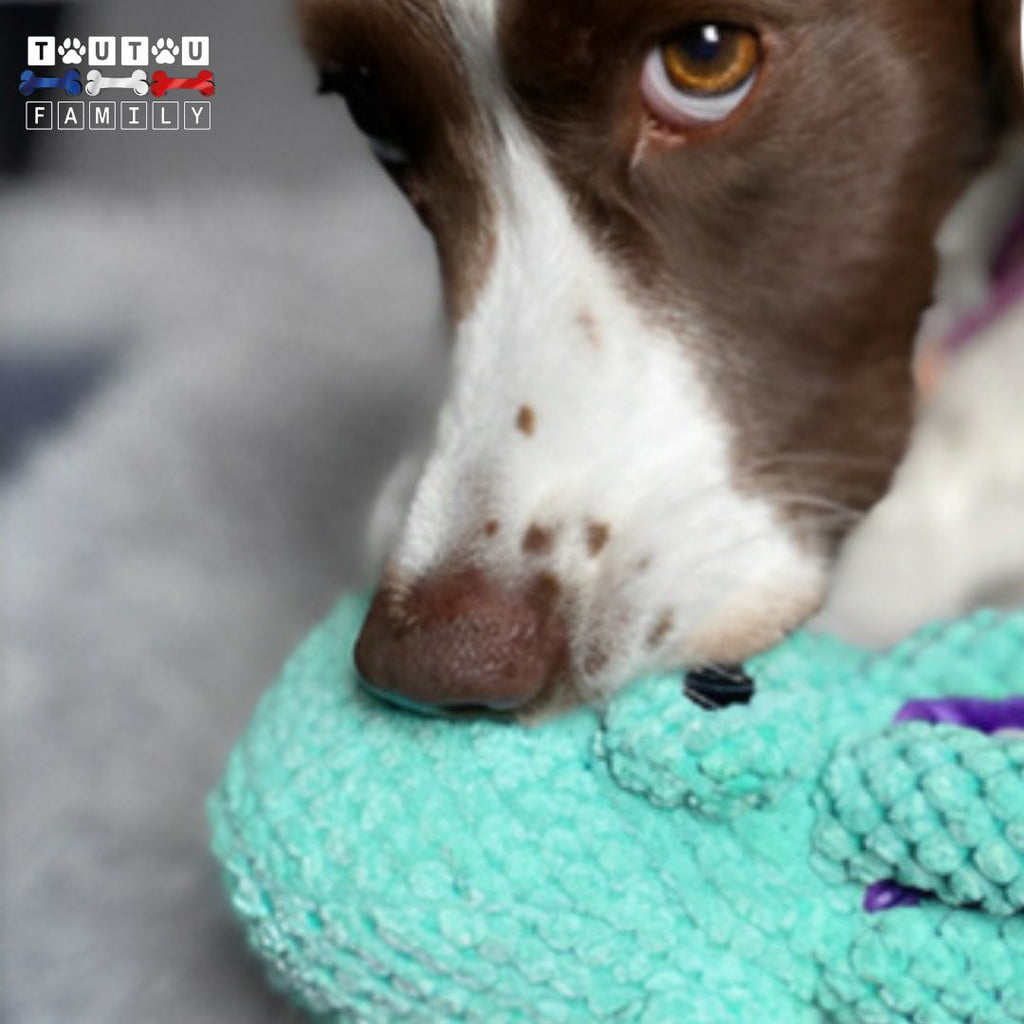 Peluche pour chien - PoulpeToutou™