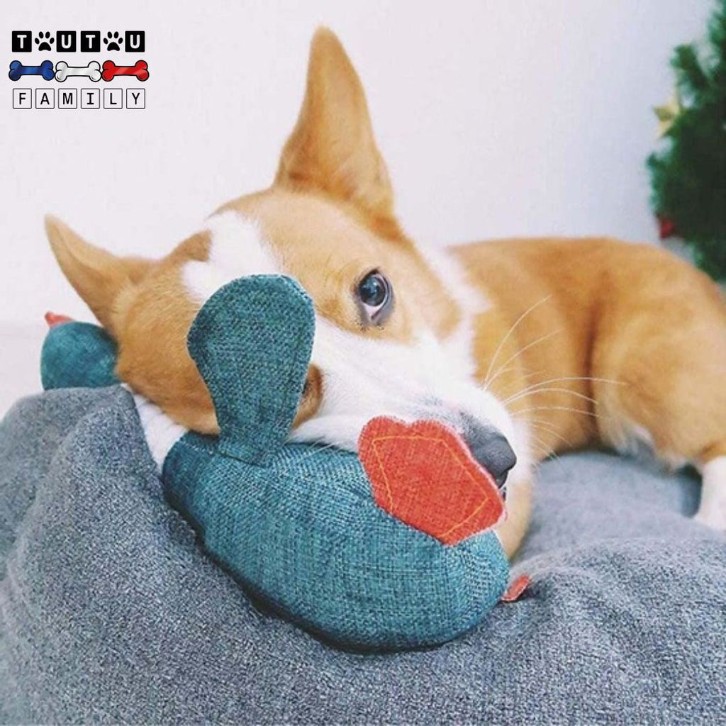 Peluche pour chien - ProieToutou™