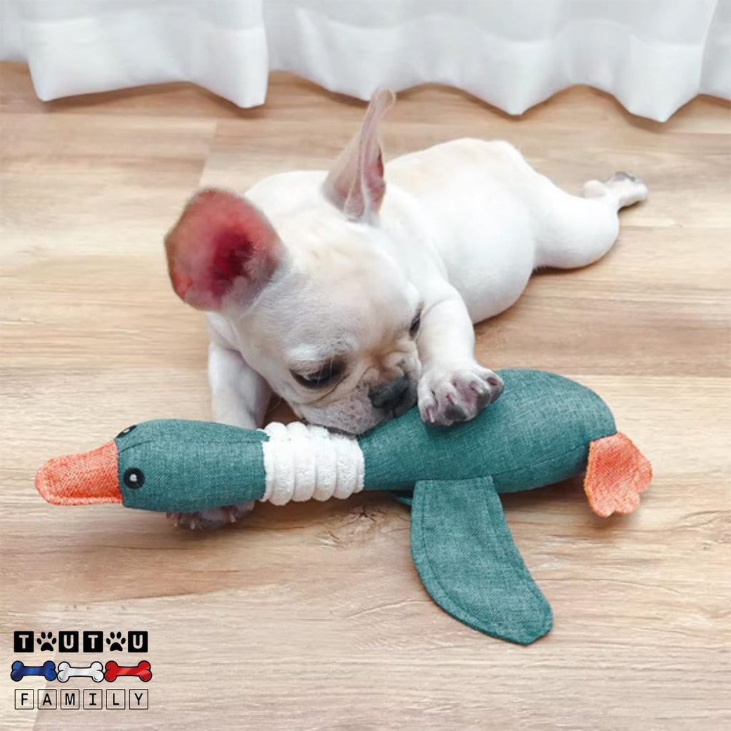Peluche pour chien - ProieToutou™