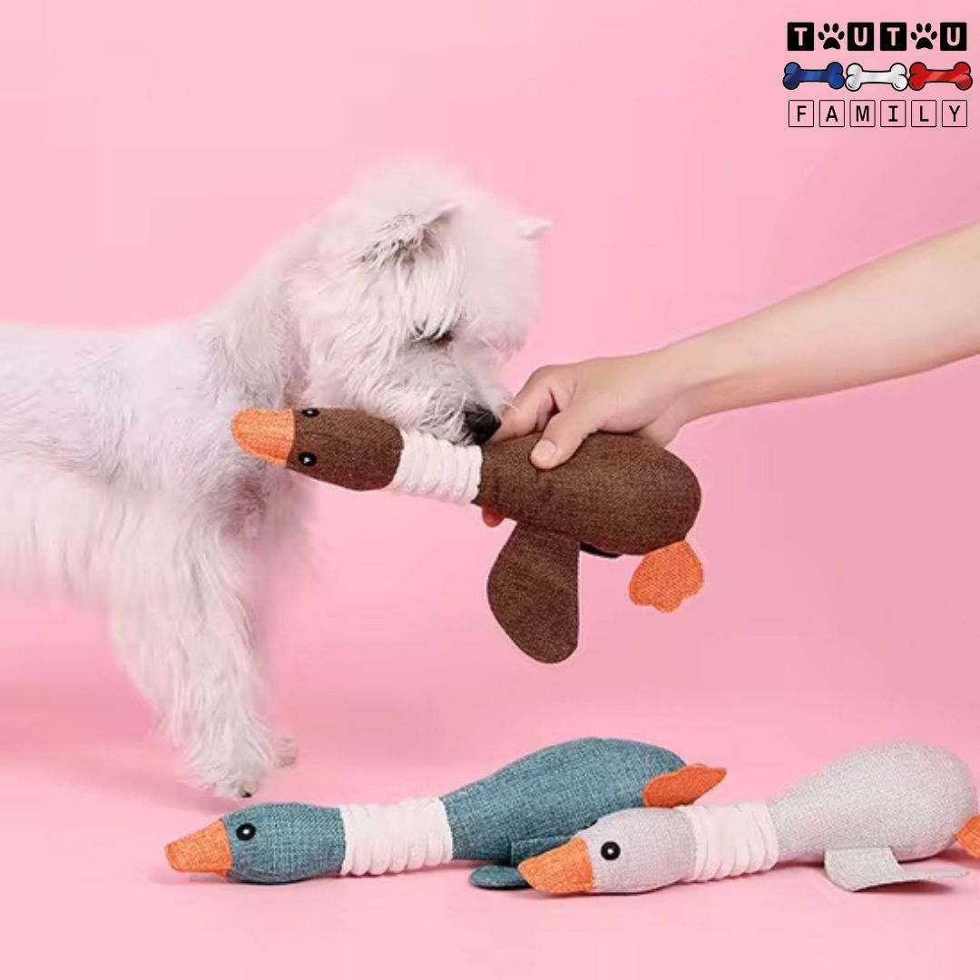 Peluche pour chien - ProieToutou™