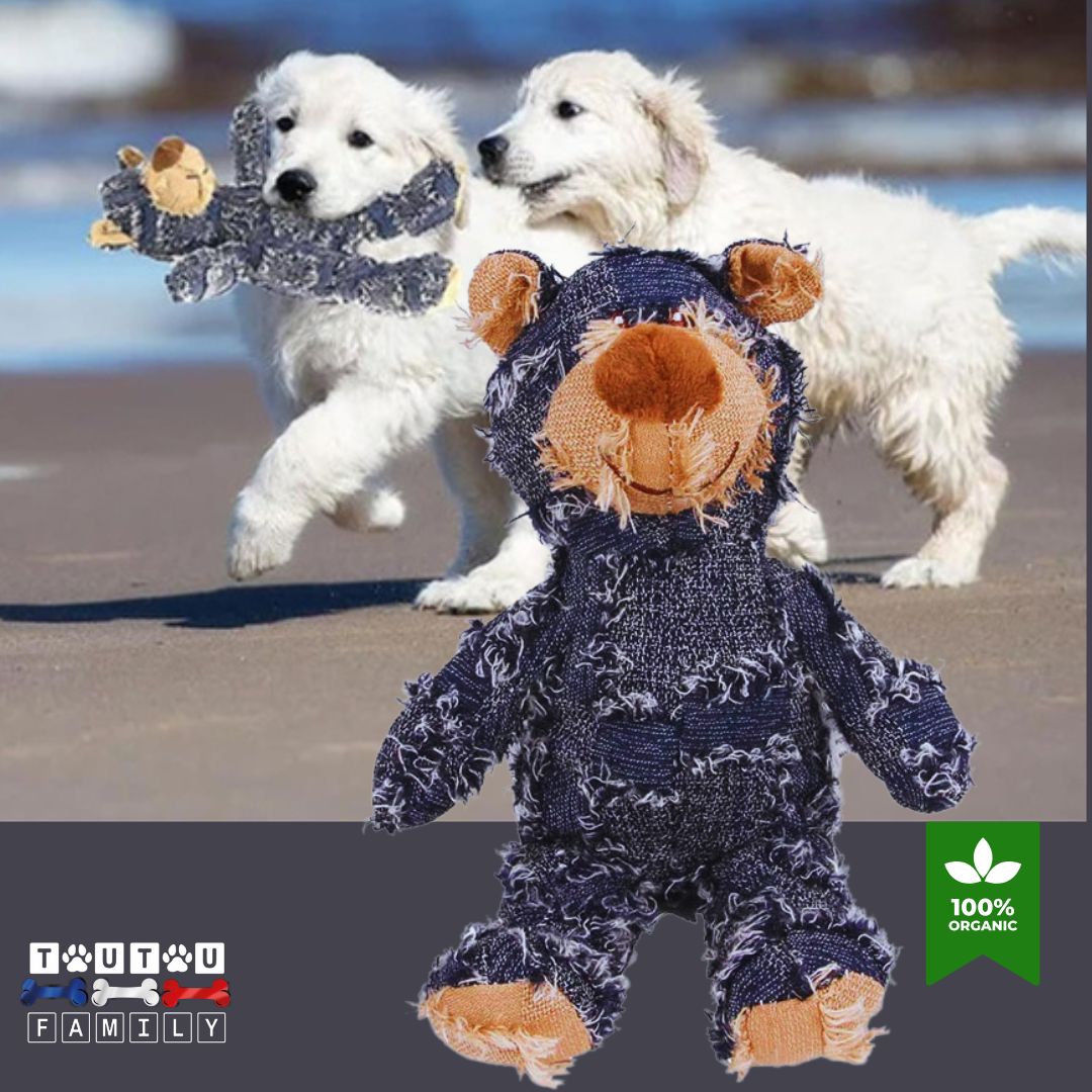 Peluches-pour-chien-bleu-deux-chiots-qui-courent-sur-la-palge-avec-leur-peluche-ours-solide-dans-leur-mâchoires