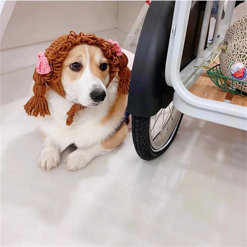 Perruque brune tresses chien