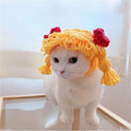 Perruque Blonde en laine pour chat