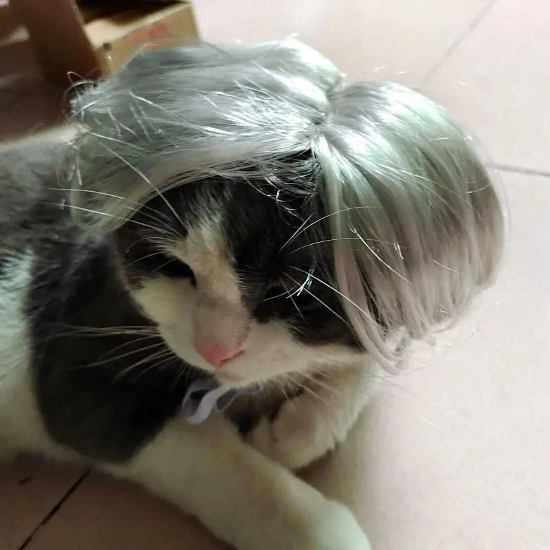 Perruque Chat Grise