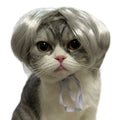 Perruque Chat Grise