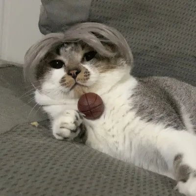 Perruque Chat Grise