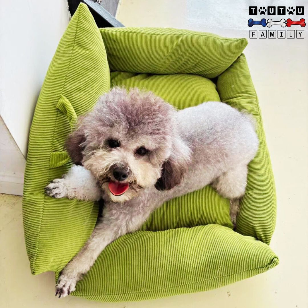 Petit canapé pour chien - CosyToutou™