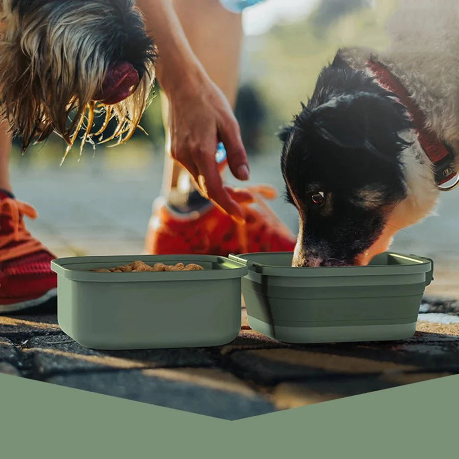 Gamelle de Voyage Chien - Pratique et Design
