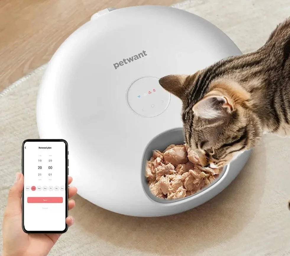 Distributeur Automatique Et Connecté De Nourriture Pour Chat