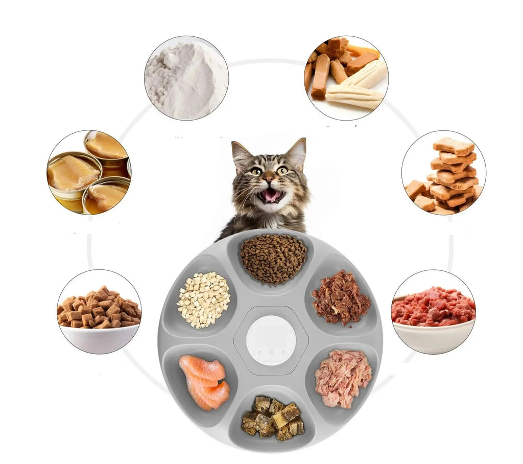 Distributeur Automatique Et Connecté De Nourriture Pour Chat