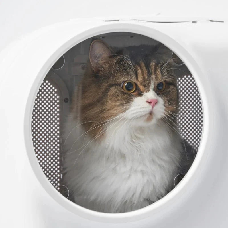 Valise à roulette pour chat design et sécurisée | Oscar et Plume