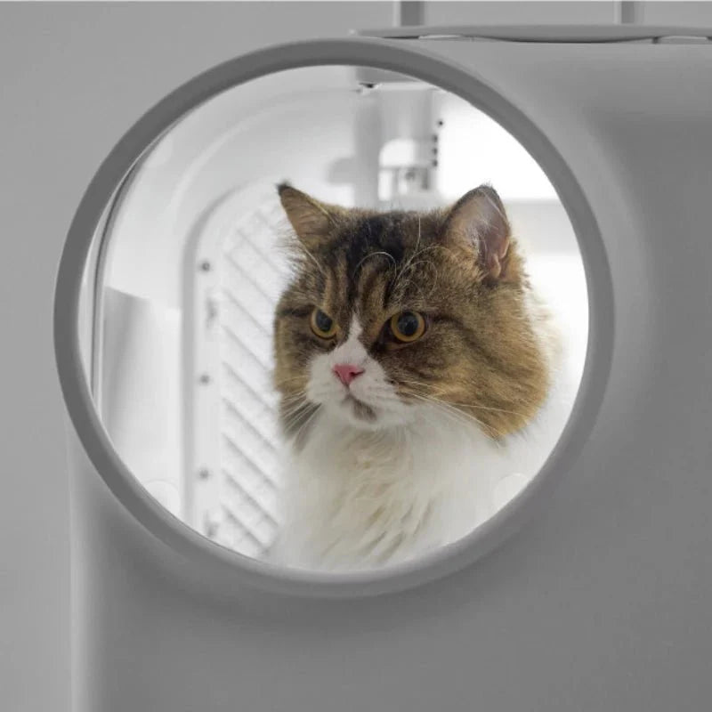 Valise à roulette pour chat design et sécurisée | Oscar et Plume