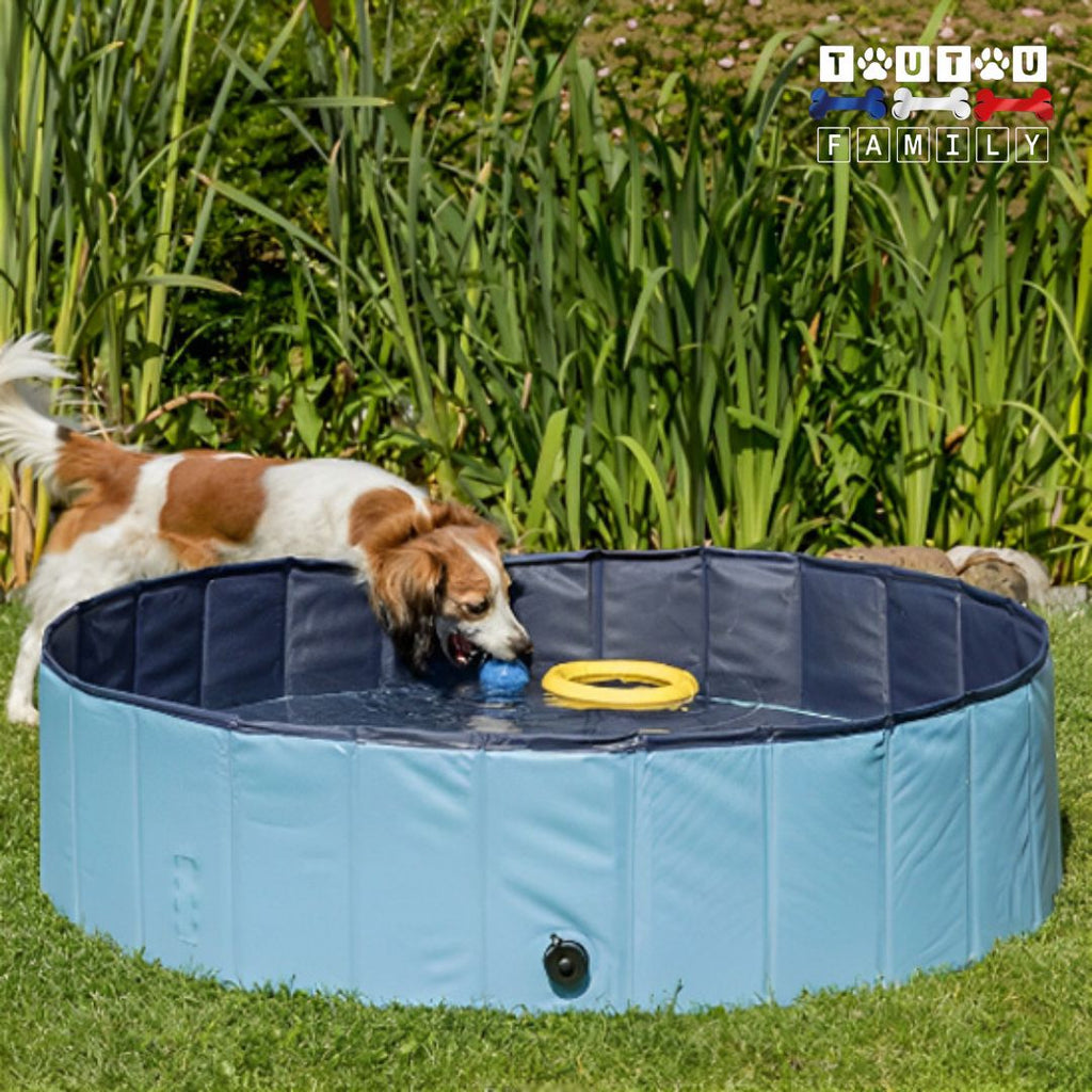 Piscine pour chien - NageToutou™