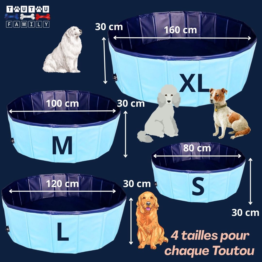 Piscine pour chien - NageToutou™