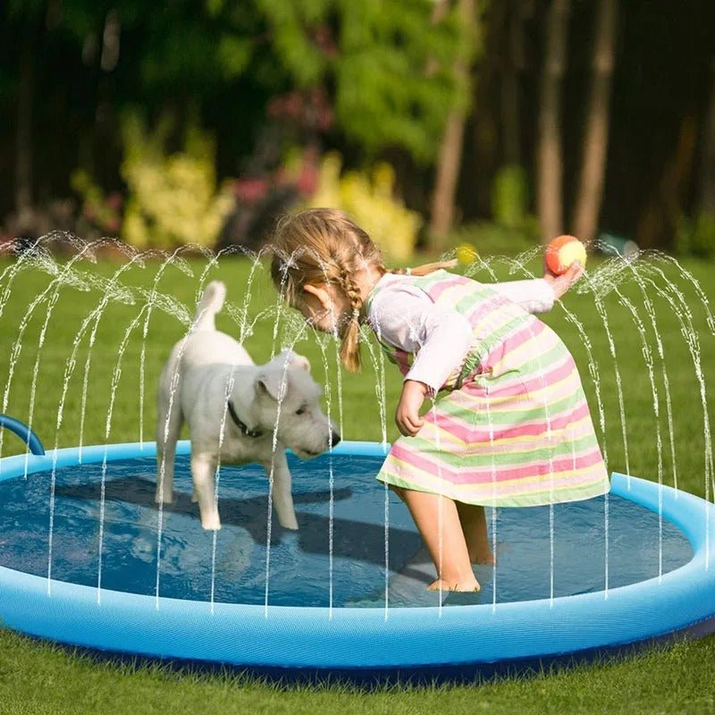 Piscine pour chien - SplashToutou™