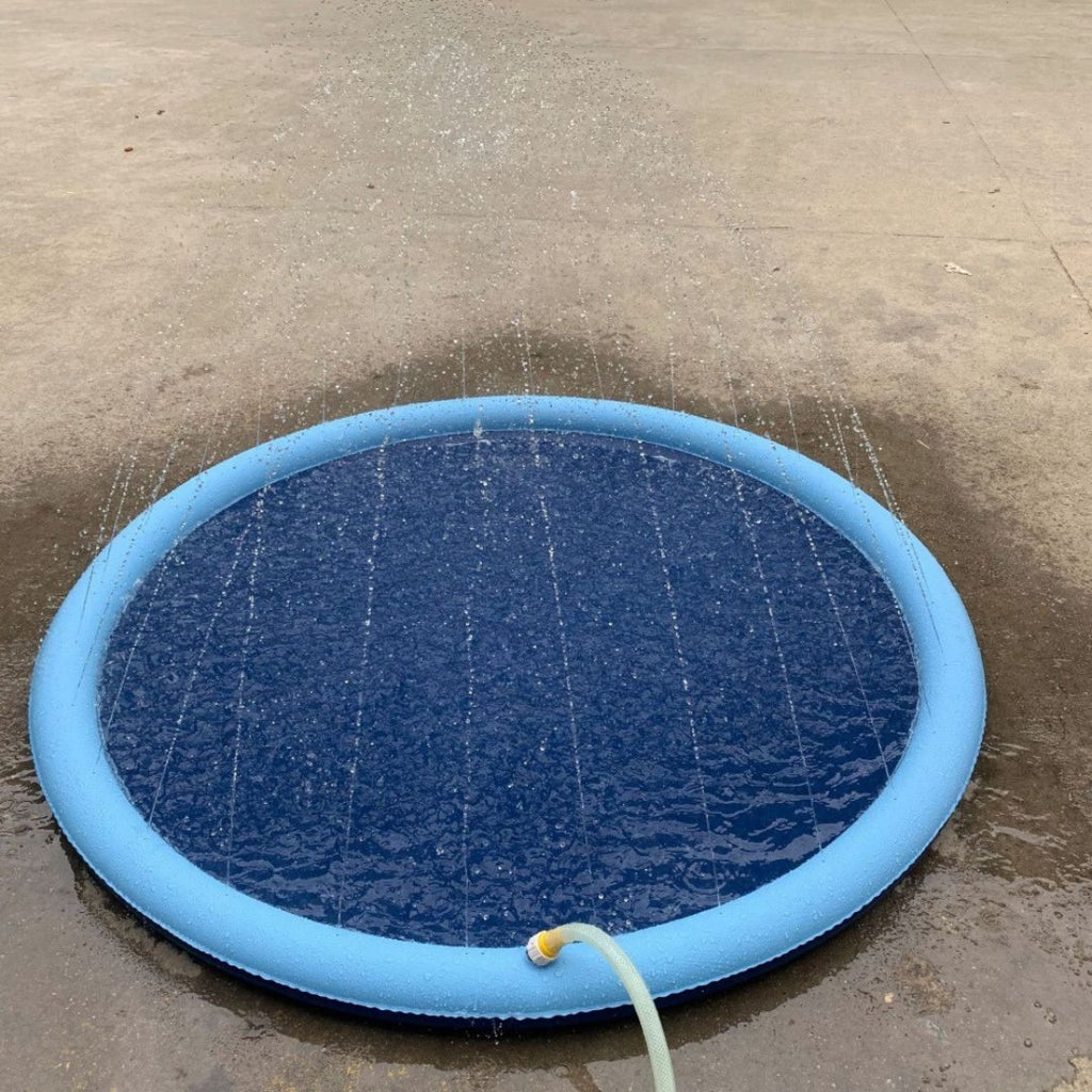 Piscine pour chien avec jet d'eau | SplashDog™