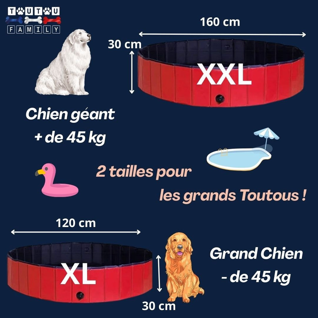 Piscine pour chien xxl - GrandToutou™